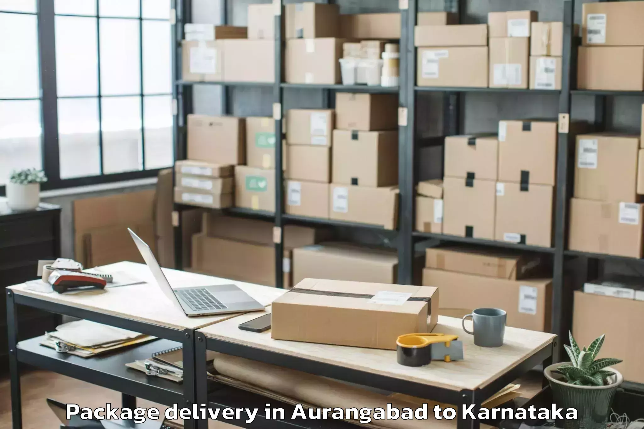 Trusted Aurangabad to Huliyar Package Delivery